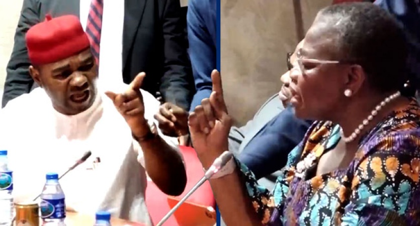 Akpabio vs Natasha: Chaos as Senator Nwaebonyi calls Oby Ezekwesili a fool during hearing
