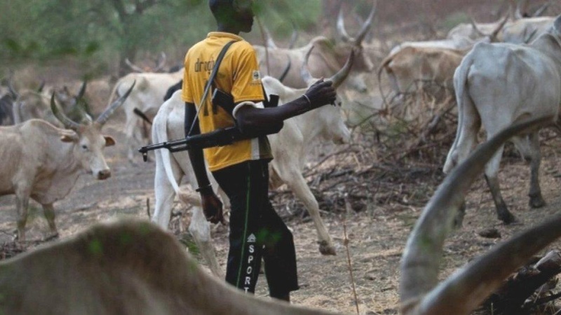 Middle Belt crisis: Urgent action needed to avert national instability ? Security intel