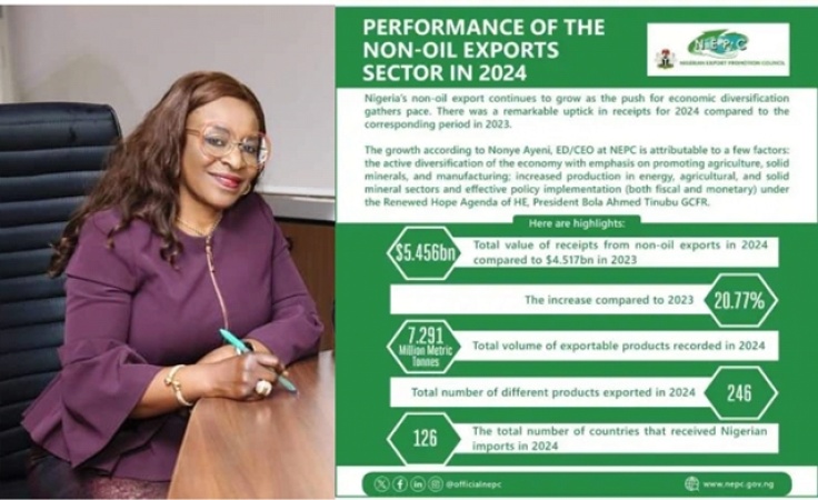 Nonye Ayeni, NEPC?s impressive 2024 and Q1 2025 performance 
