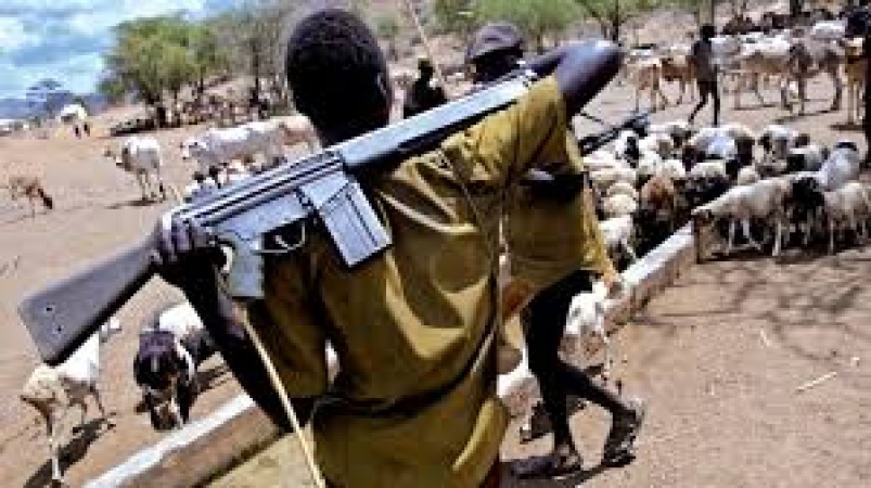 542 killed, 2 million displaced in farmer-herder conflicts ? Report