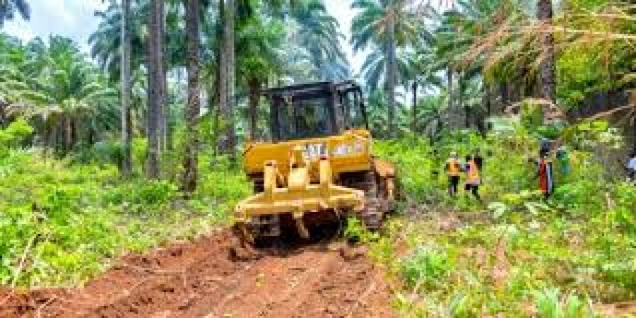Abia Airport: Access road clearing begins despite court order
