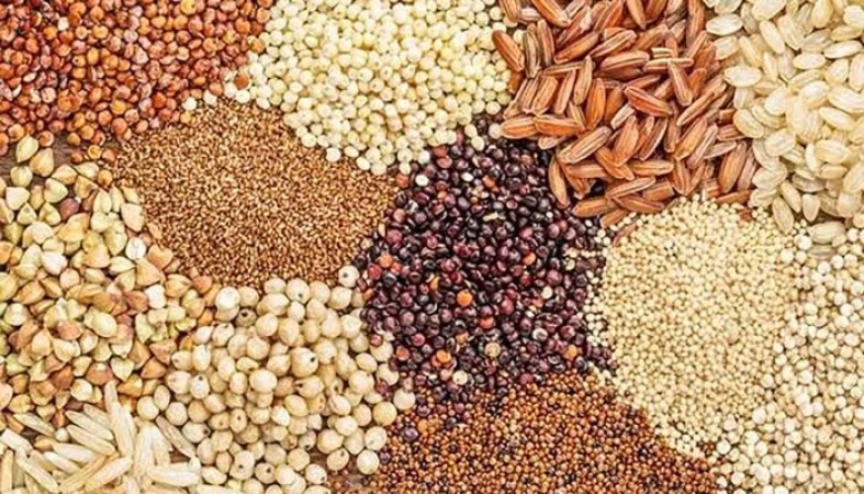 How terrorist attacks, Borno highway closure causing price grains hike