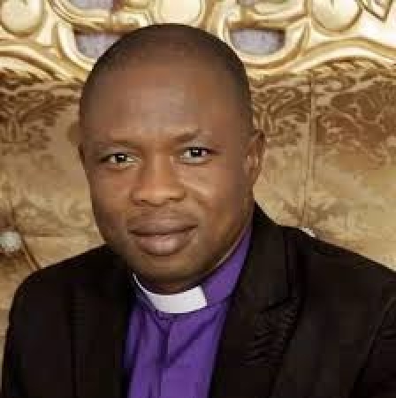 Diaspora Nigerians protest poor investment environment, demolition of properties