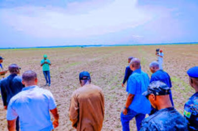 Nasarawa farmers protest alleged land seizure for rice project