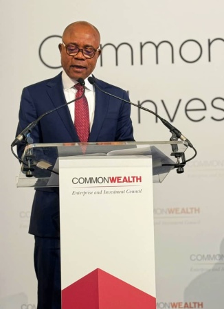 Mbah in London: Africa?s economic renaissance lies in extensive trade, not aid or charity