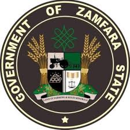 Lead poisoning: FG orders illegal miners out of Zamfara
