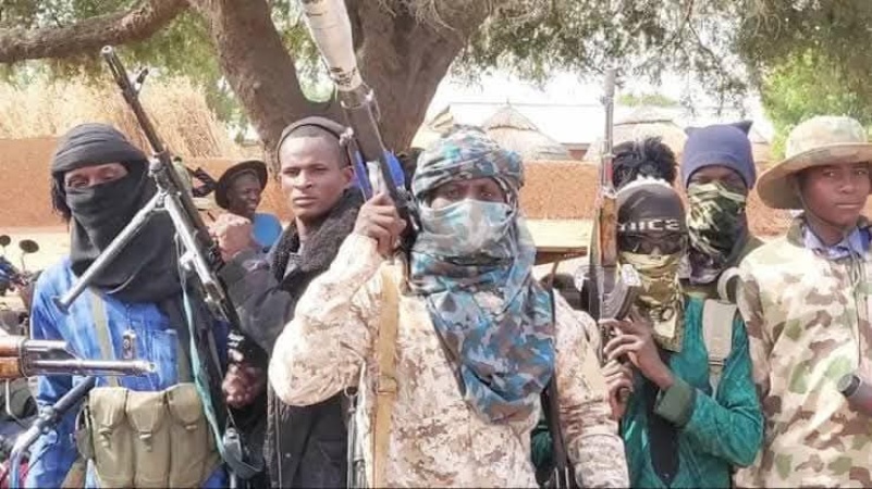 Bandits chained me for 30 days, killed my wife in my presence ? National Assembly director