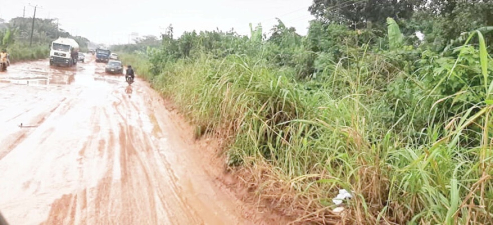 Unity Landlords Association, Nkpor cries out to Mayor Nkwoka over dilapidated road