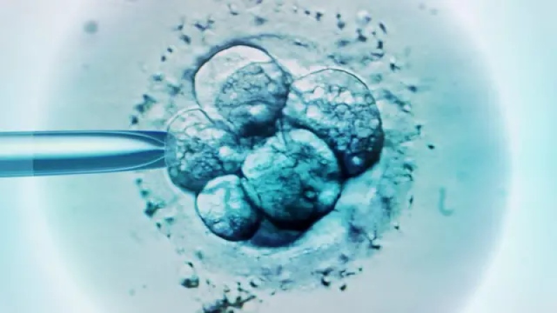 Woman gives birth to stranger?s baby