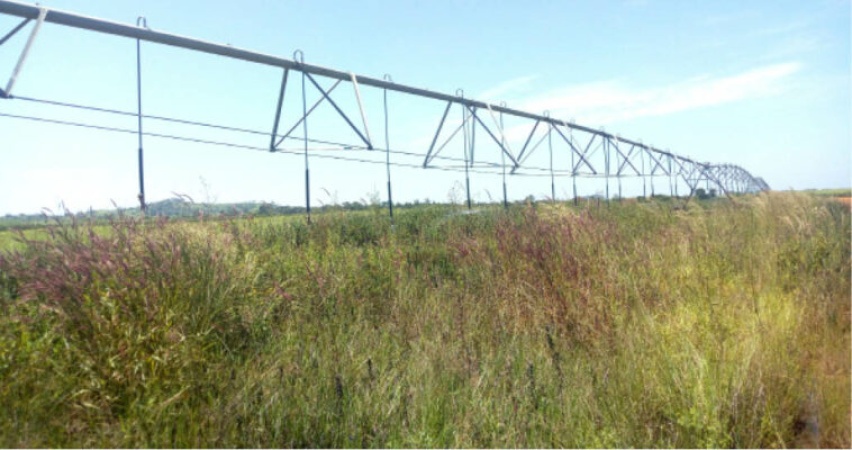 FG builds 7 dams, 21 irrigation sites in Southwest