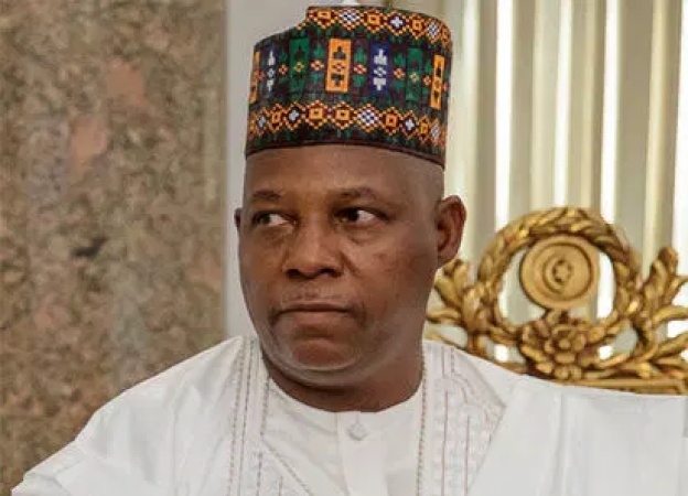 JUST IN: Security operatives foil attempt to break into Vice President Shettima?s residence, nab suspect