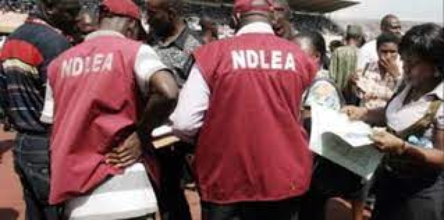 NDLEA arrests 22 suspects, seizes illicit drugs in Kano