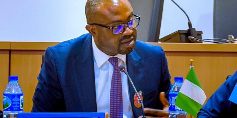 FG imposes 10-year entry bans for visa overstays, $15 daily fine from August 1