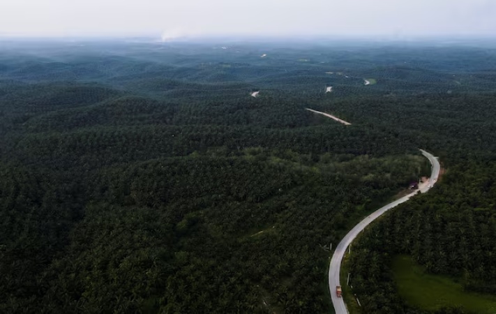 Indonesia arrests judges who cleared palm oil companies of graft charges