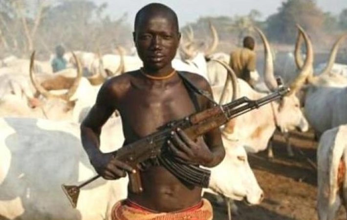 How suspected herdsmen killed 13, burnt 50 houses in Benue community
