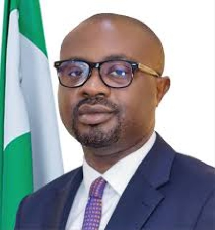FG indicts employers on abuse of expatriate quota