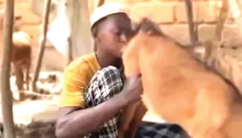 ?This is my first time? ? Man arrested for licking goat?s genitals