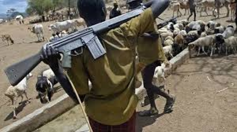 Bloody Friday: 17 confirmed killed, many others injured as suspected herders go on rampage in 2 Benue LGAs