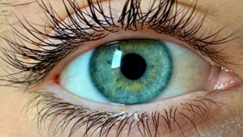 Scientists claim to have discovered ?new colour? no one has seen before