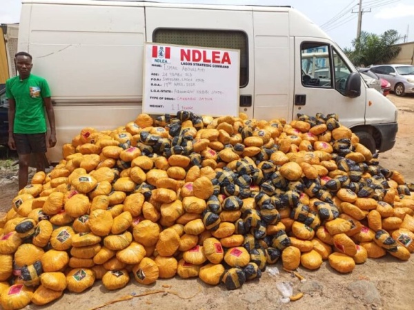 NDLEA recovers 563kg skunk, others in Bayelsa warehouse, arrests 4