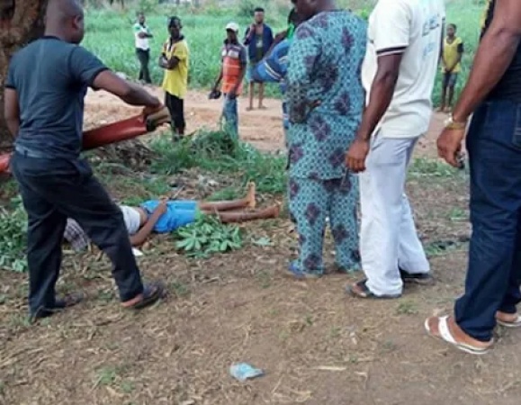 Boy, 11, dies after falling from mango tree