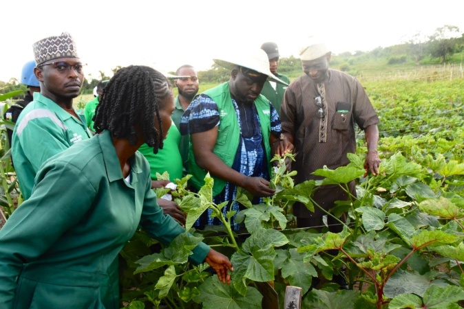 FG takes zero hunger, food security drive to universities