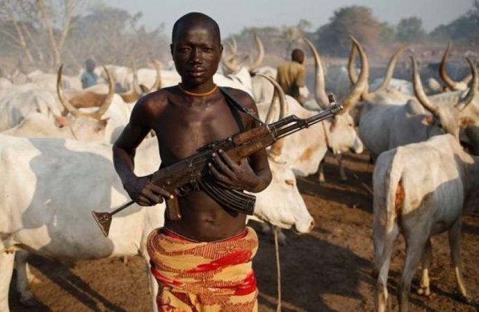 CSOs call for independent probe into deadly attacks in Benue, Plateau states