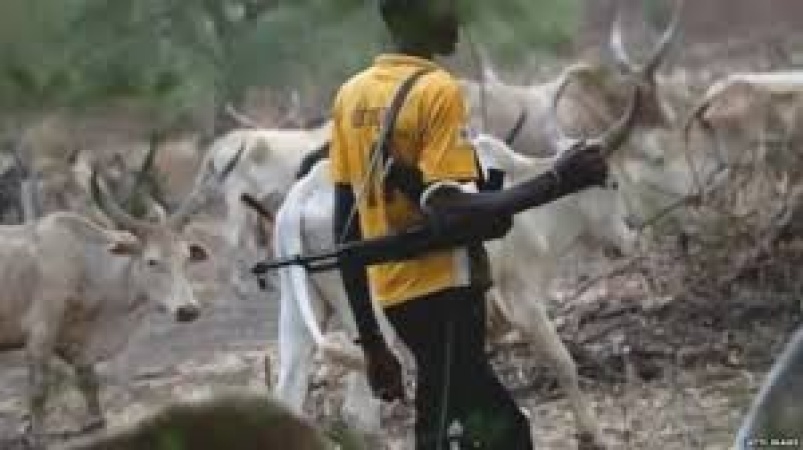 Four killed, two injured in armed herders? attack in Benue