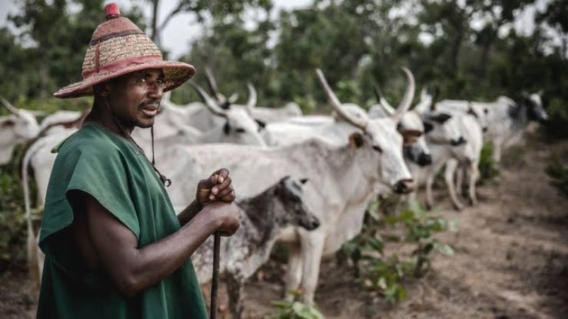 Man kills replacement herder over job loss