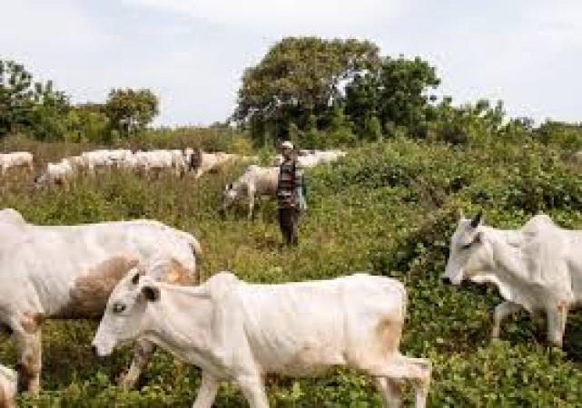 Abia monarch raises alarm over massive land acquisition by herdsmen in Obingwa