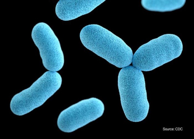 Diphtheria resurgence kills 2 children in Kaduna
