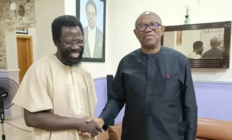 Why I?ll vote Peter Obi in 2027 ? Dele Farotimi