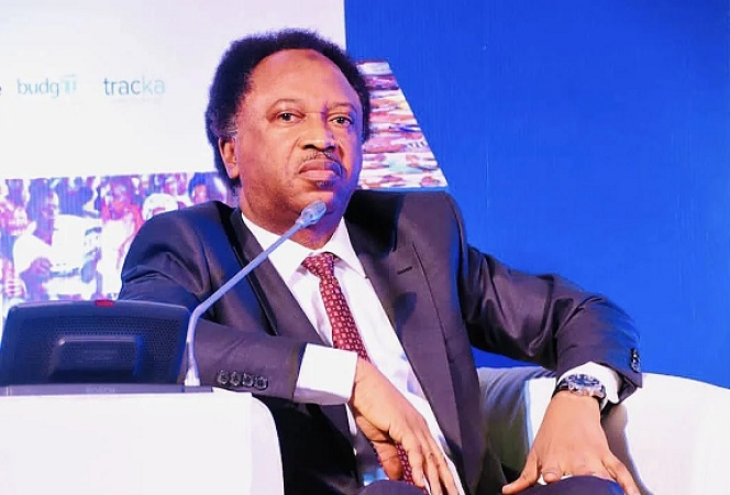 Show results in anti-terror fight not talks, Shehu Sani tells FG