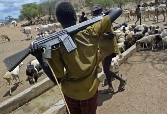 Foreign herders behind attacks on communities ? DHQ