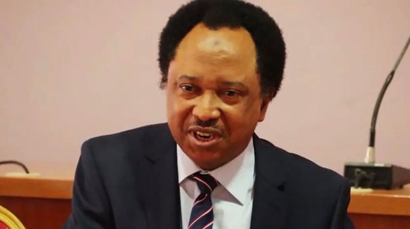 Shehu Sani: If coalition fails, Tinubu?s re-election done deal