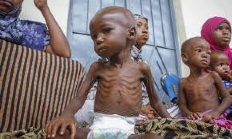 50m people in West, Central Africa at risk of hunger ? WFP