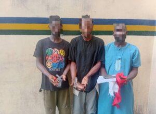 Police storm Lagos cult meeting, arrest suspects, recover pistols