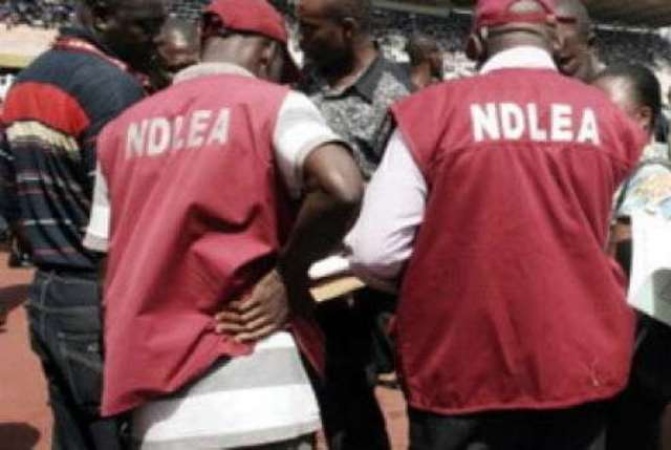 Woman hides cocaine in private part, nabbed at Port Harcourt Airport