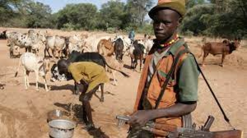 CSOs decry herdsmen attacks in South East, demand justice