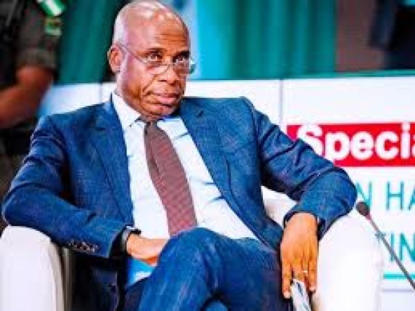 Lamido and I would have challenged Tinubu if we were governors ? Amaechi