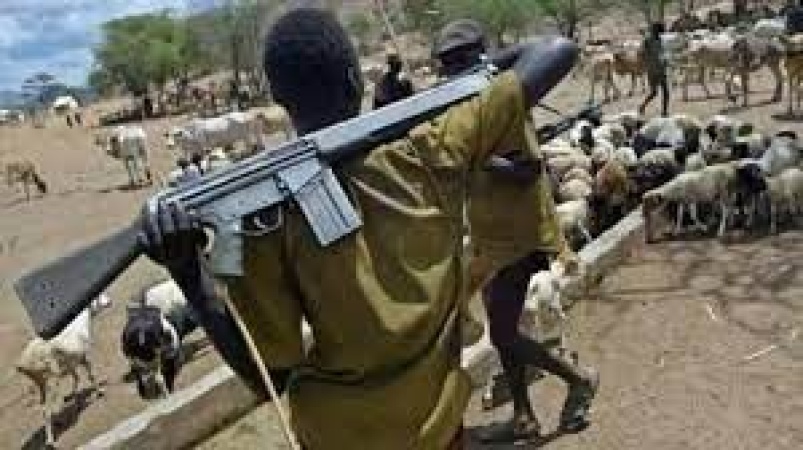 Herdsmen sack 4 Benue LGAs, kill 23