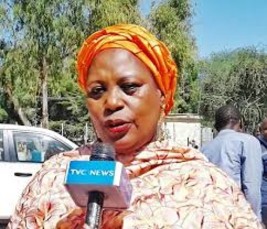 73 minors arrested for substance abuse in Borno