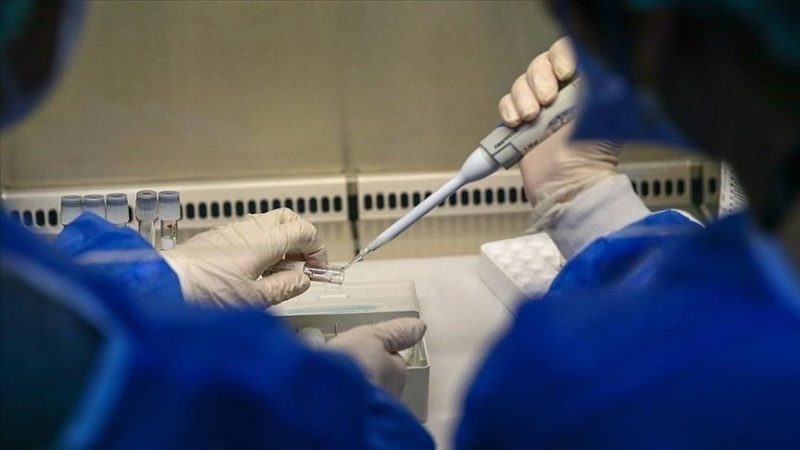 Death toll from tropical disease outbreak in northern Australia climbs to 31