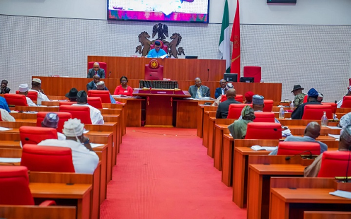 Senate probes MDAs to unmask Federal Character principle violators