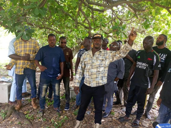 Ondo ex-militants protest exclusion from FG?s amnesty programme