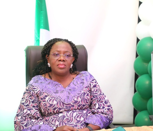 FG introduces new online citizenship, business management platform