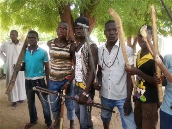 Boko Haram terrorists kill 3 Civilian JTF members in Adamawa village