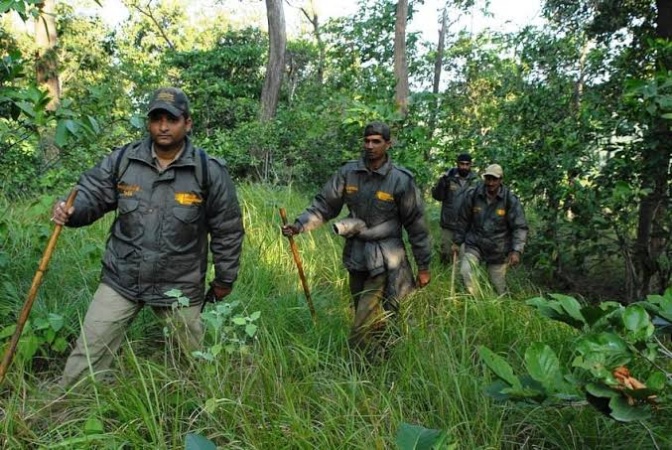 Armed Forest Guards a bold initiative ? Group