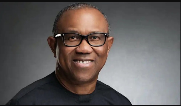 Why I attended Pope Leo?s inauguration ? Peter Obi
