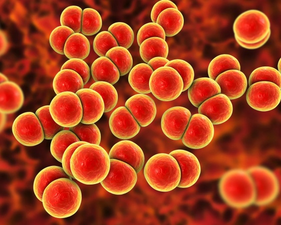World-first gonorrhoea vaccine launched as infections soar
